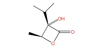 (2S,3S)-2-Hydroxy-2-isopropylbutano-3-lactone